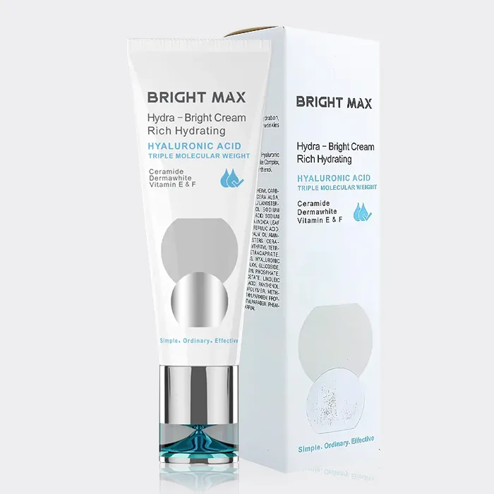 کرم آبرسان پوست خشک و نرمال ریچ هیدرا-برایت برایت مکس Bright Max Hydra Bright Rich Hydrating Cream 50ml